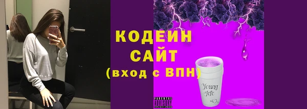 хмурый Надым